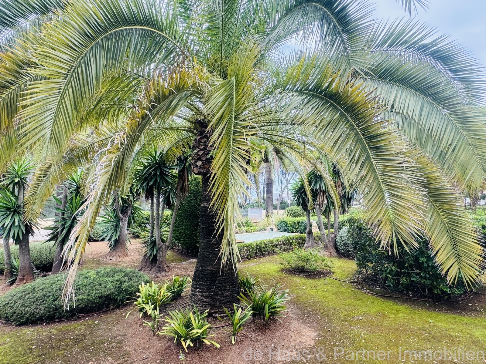 Modernes Apartment mit kleinen Meerblick