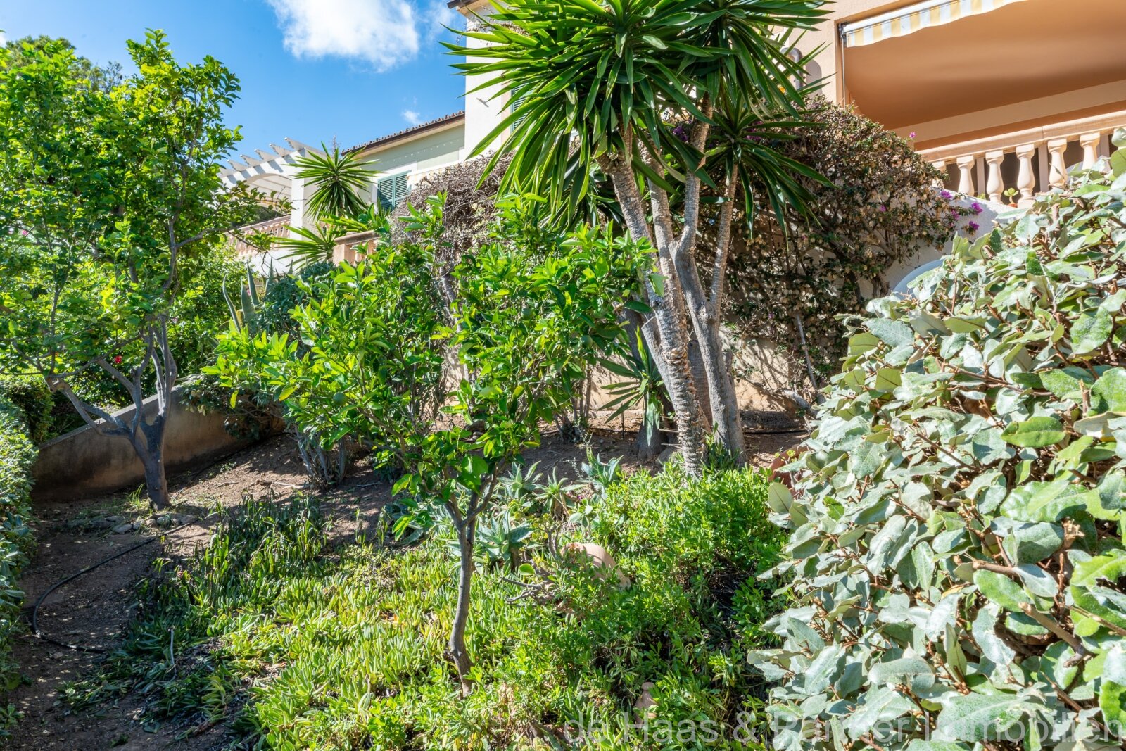 Schönes Apartment mit Meerblick und kleinem Garten