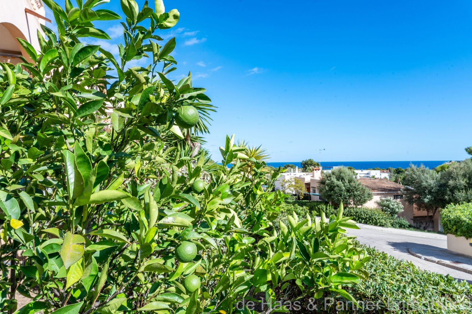 Schönes Apartment mit Meerblick und kleinem Garten