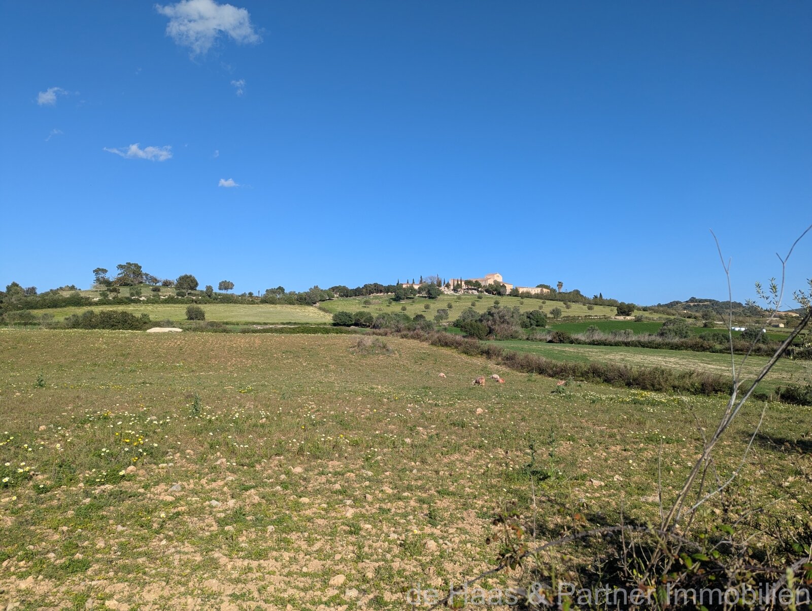 Baugrundstück mit vielfältigem Potenzial in Sant Llorenç des Cardassar