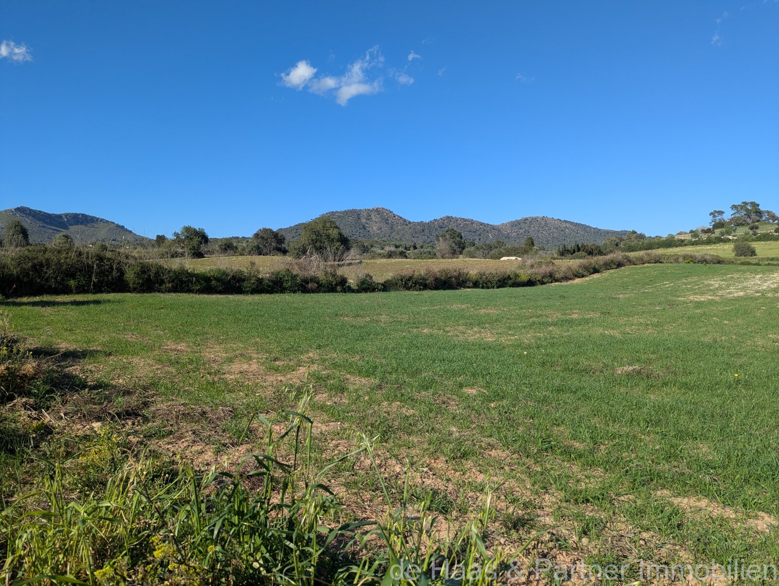 Baugrundstück mit vielfältigem Potenzial in Sant Llorenç des Cardassar
