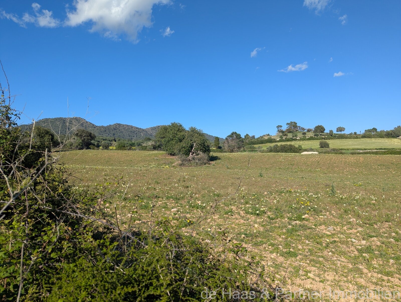 Baugrundstück mit vielfältigem Potenzial in Sant Llorenç des Cardassar