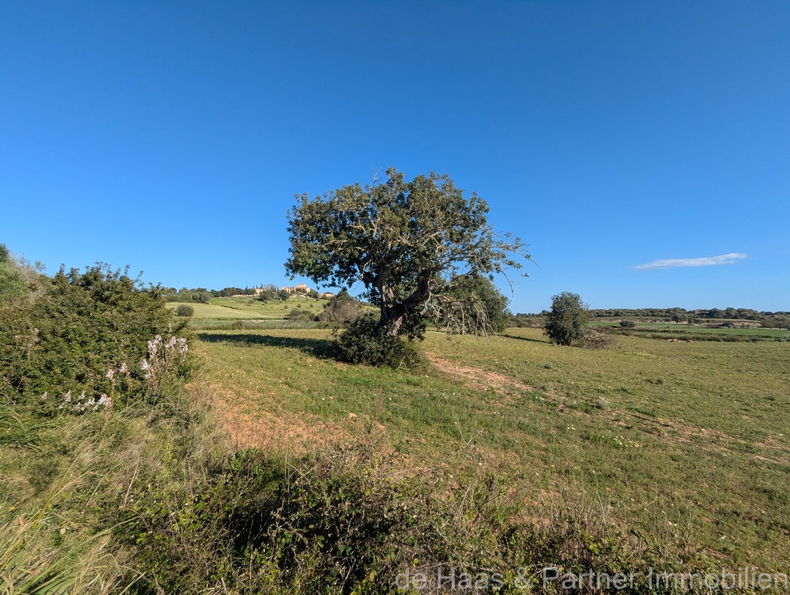 Baugrundstück mit vielfältigem Potenzial in Sant Llorenç des Cardassar