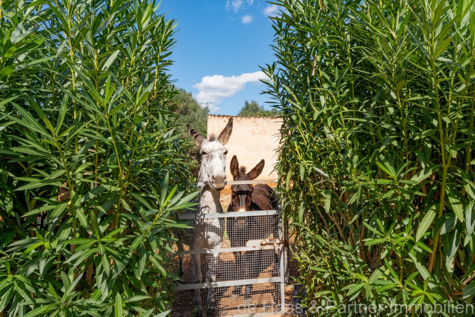 High-quality luxury finca with stunning views of the countryside, many extras and a rental license