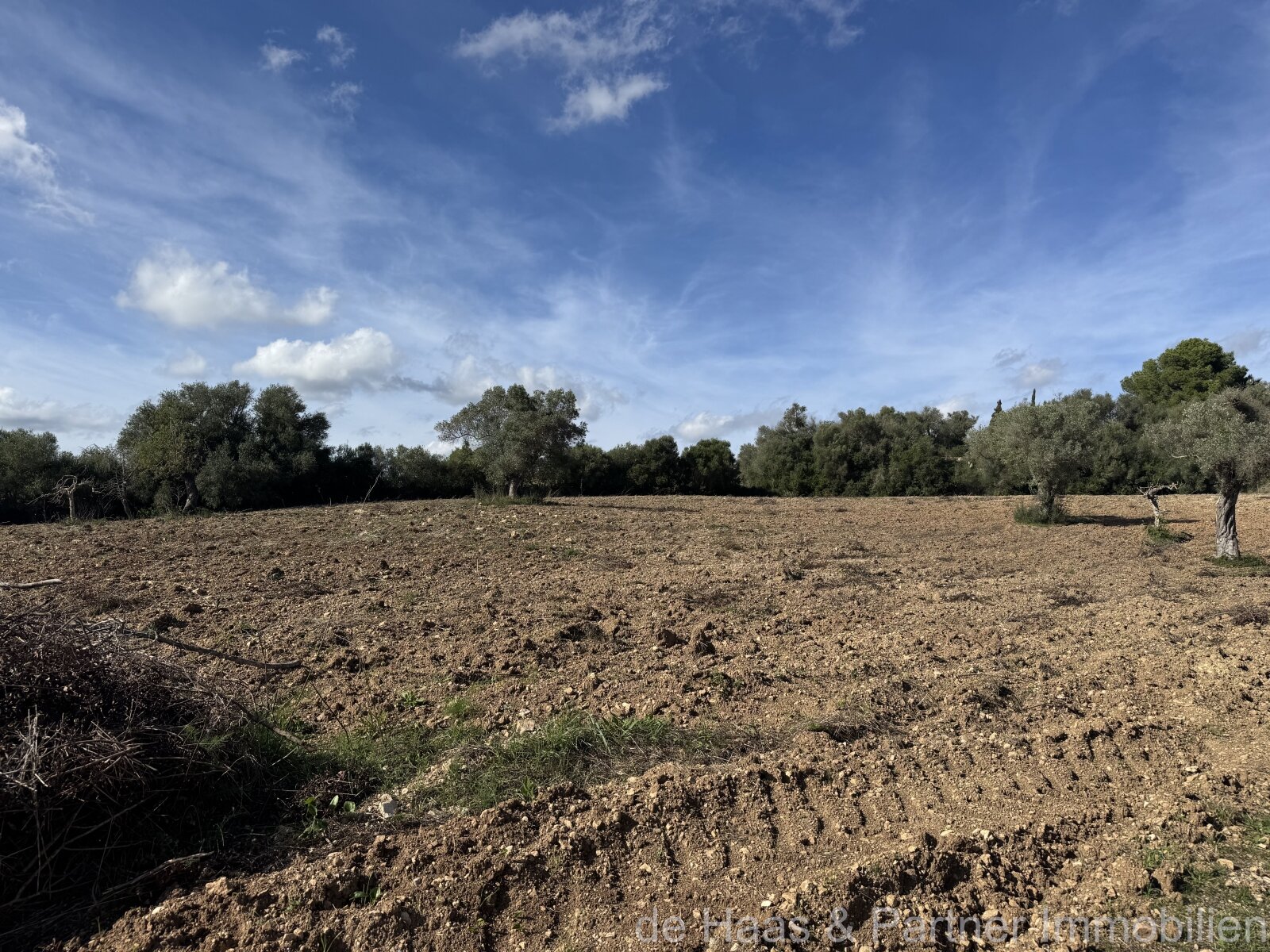 Very attractive recreational land near Arta with many possible uses