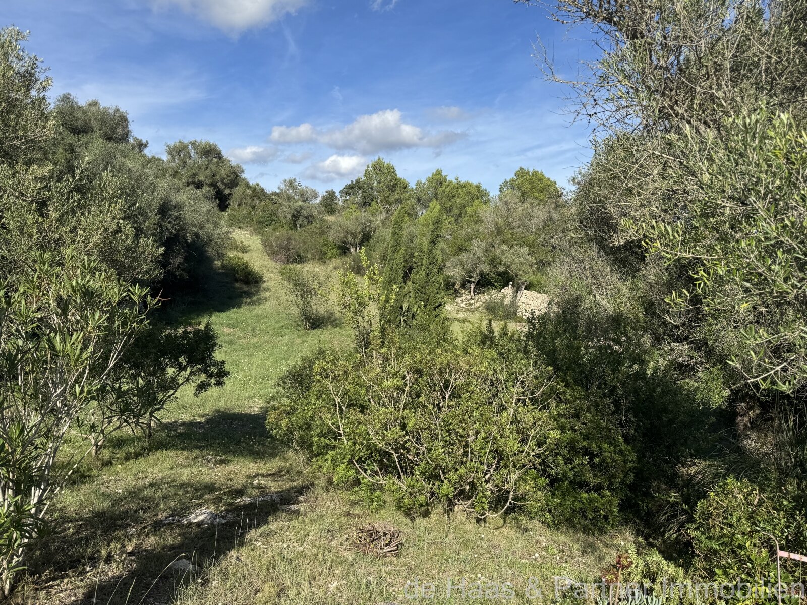 Very attractive recreational land near Arta with many possible uses