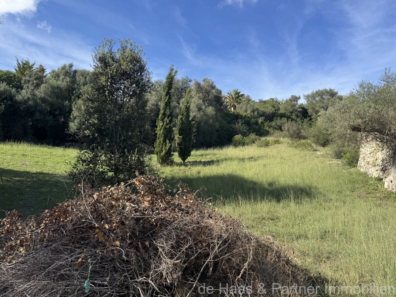 Very attractive recreational land near Arta with many possible uses