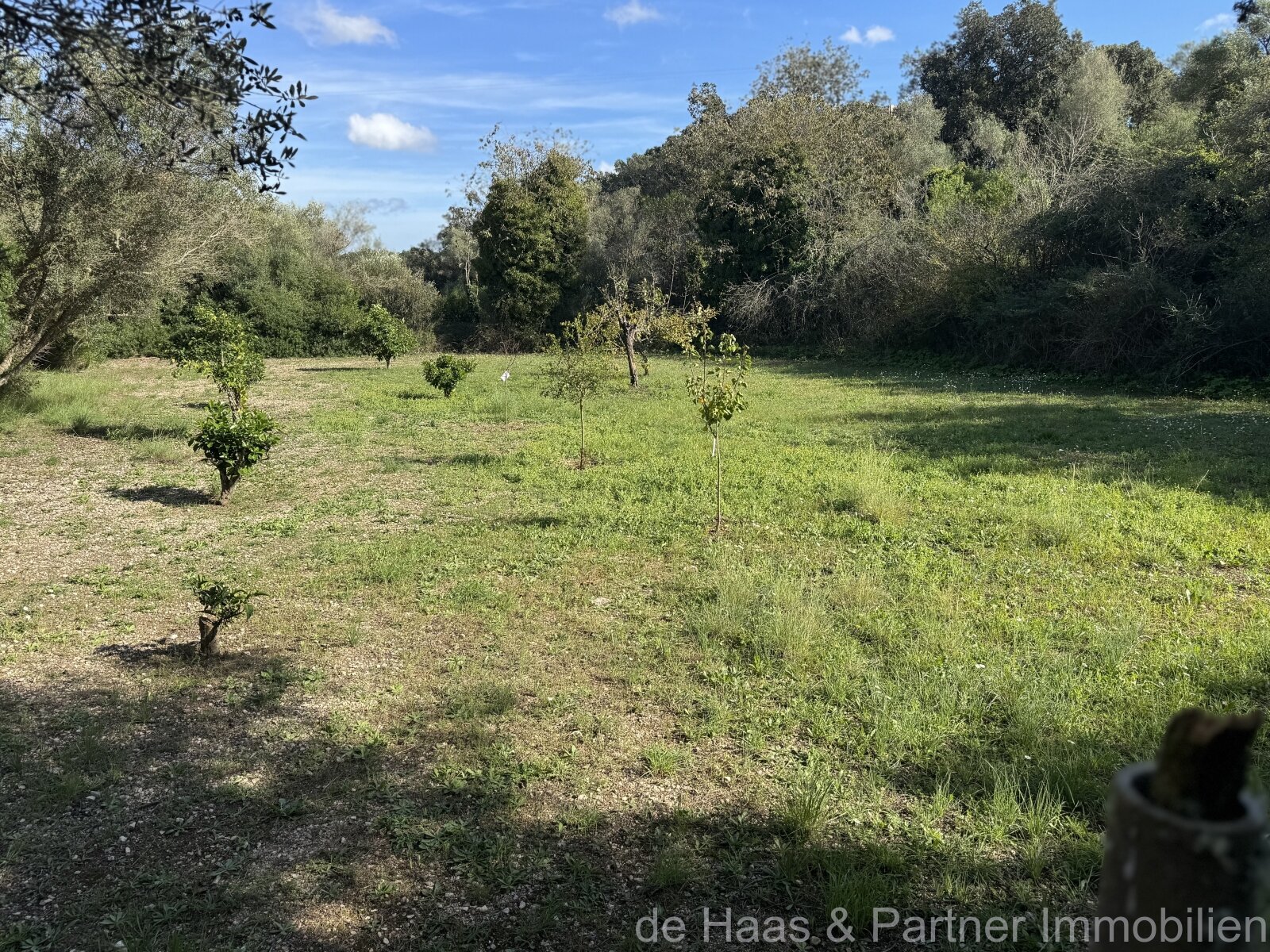 Very attractive recreational land near Arta with many possible uses