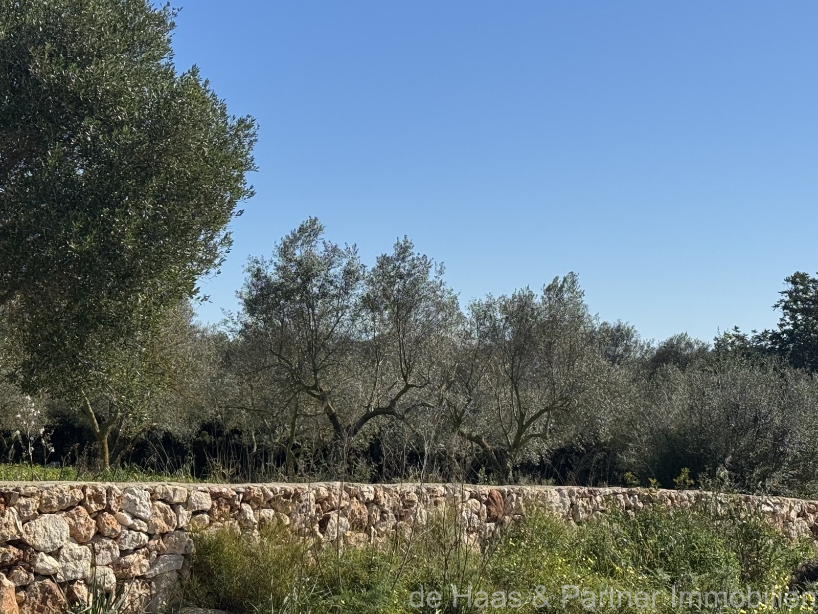 Newly built finca with beautiful views of the Levante mountains