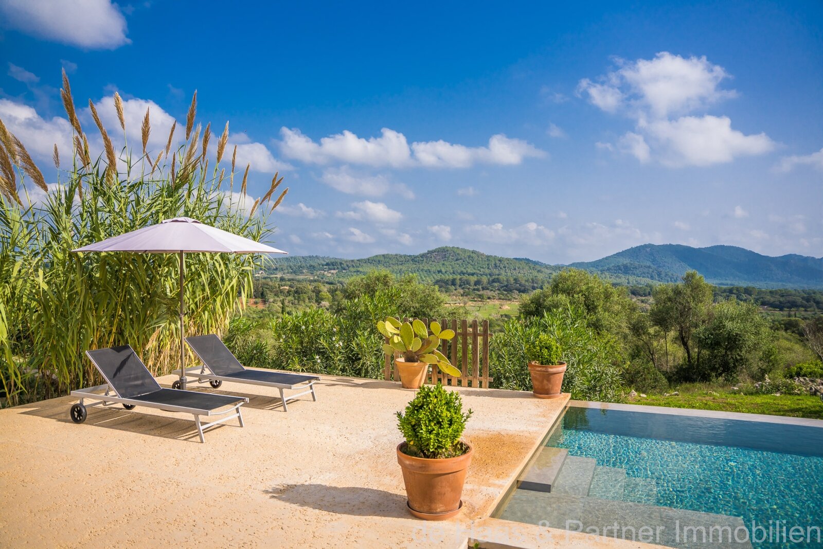 Very large finca in a prime location with fantastic views to the sea