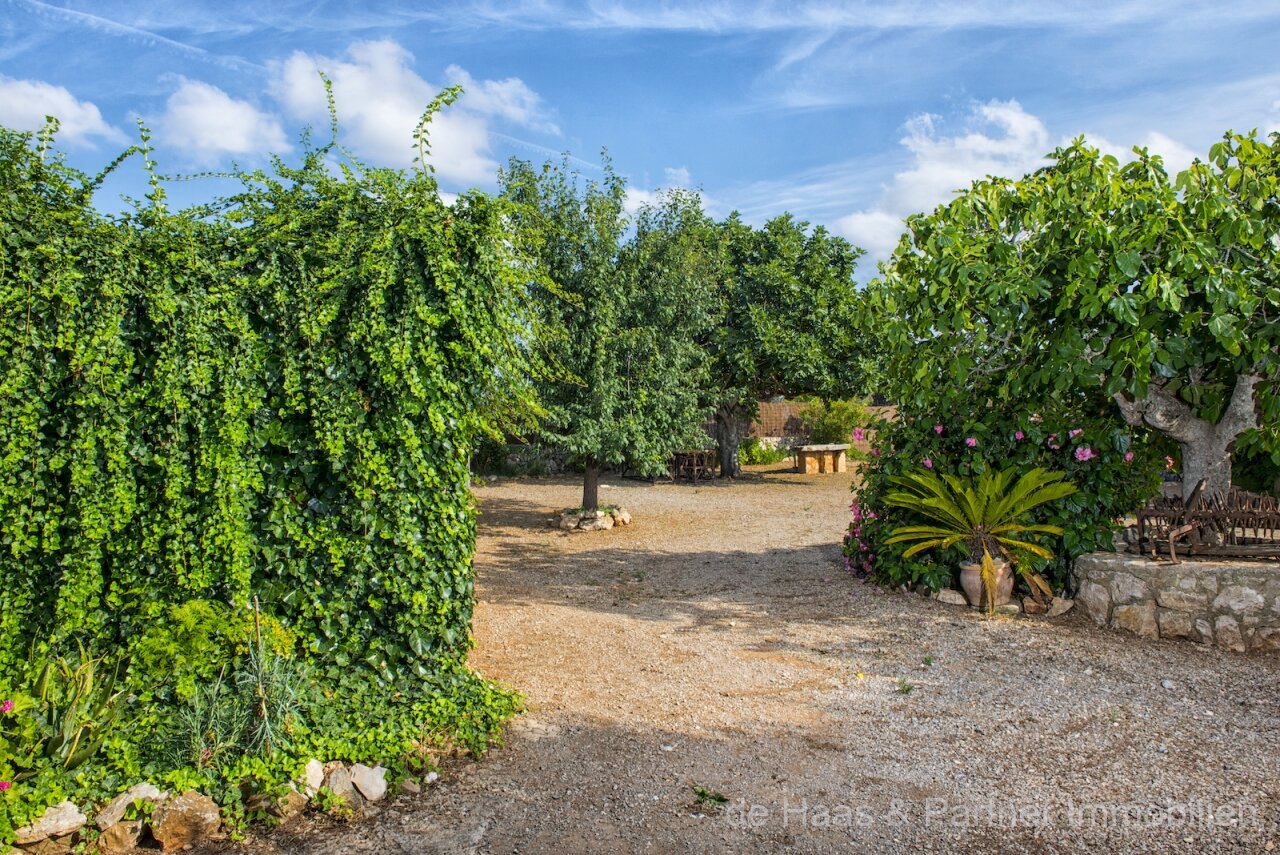 Charming finca in a beautiful location with pool