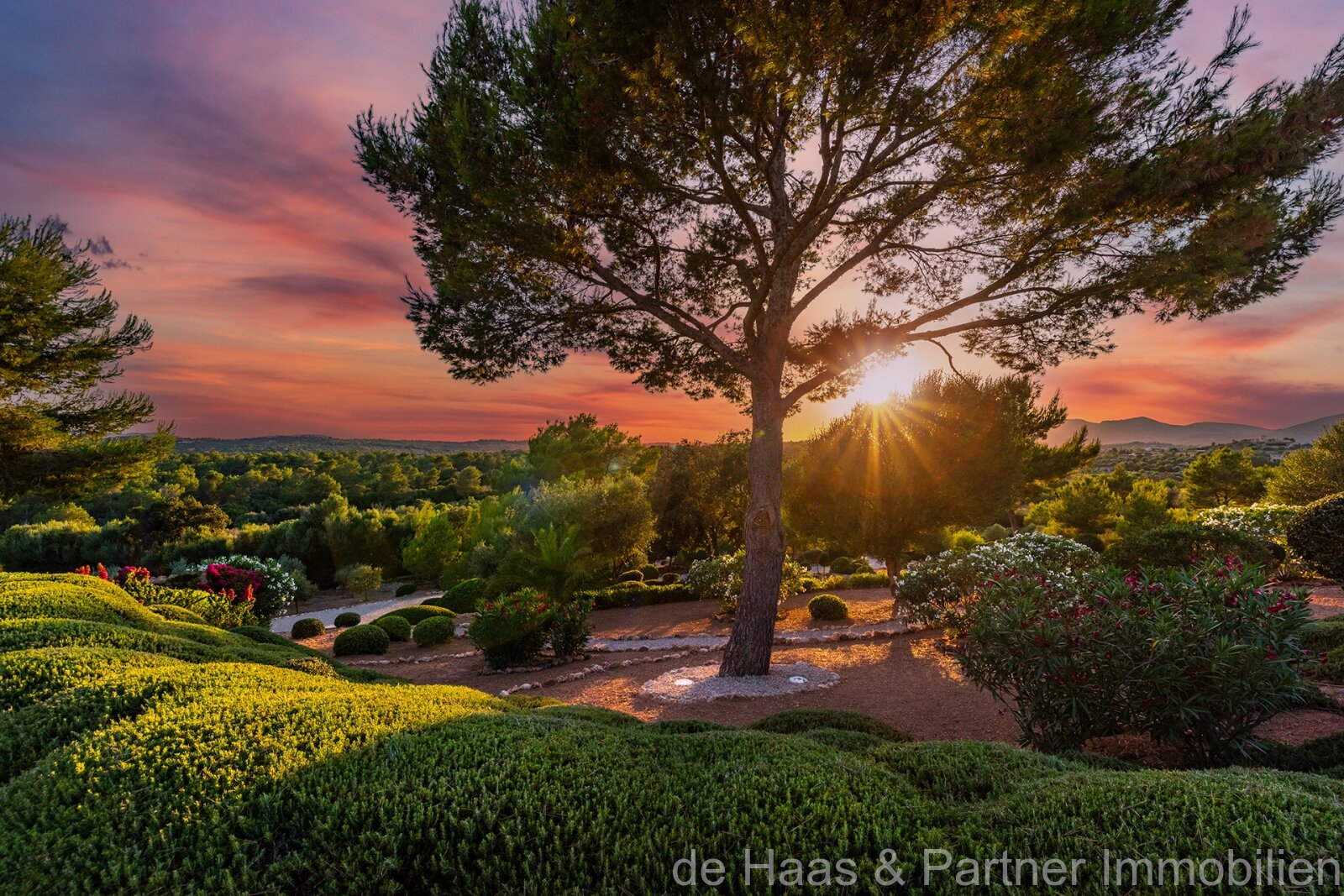Luxury finca with stunning views and many highlights