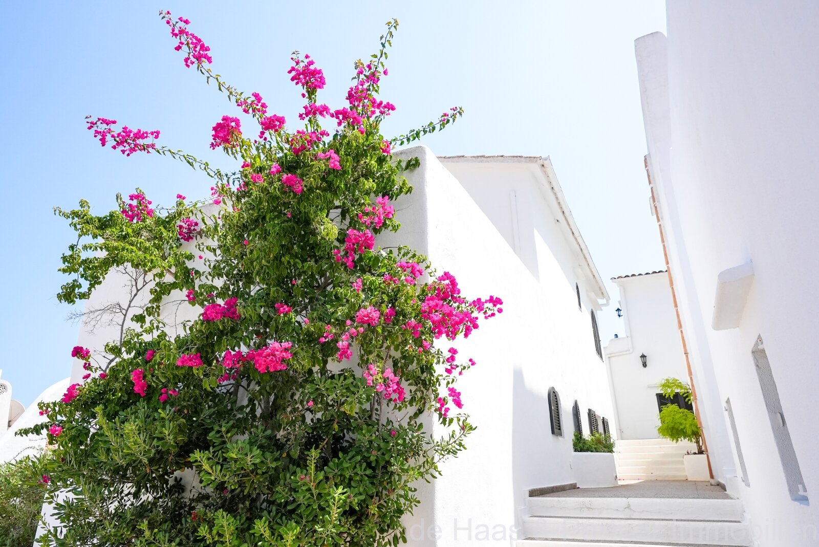 Opportunity: Fantastic ground floor apartment with direct access to the sea and beach