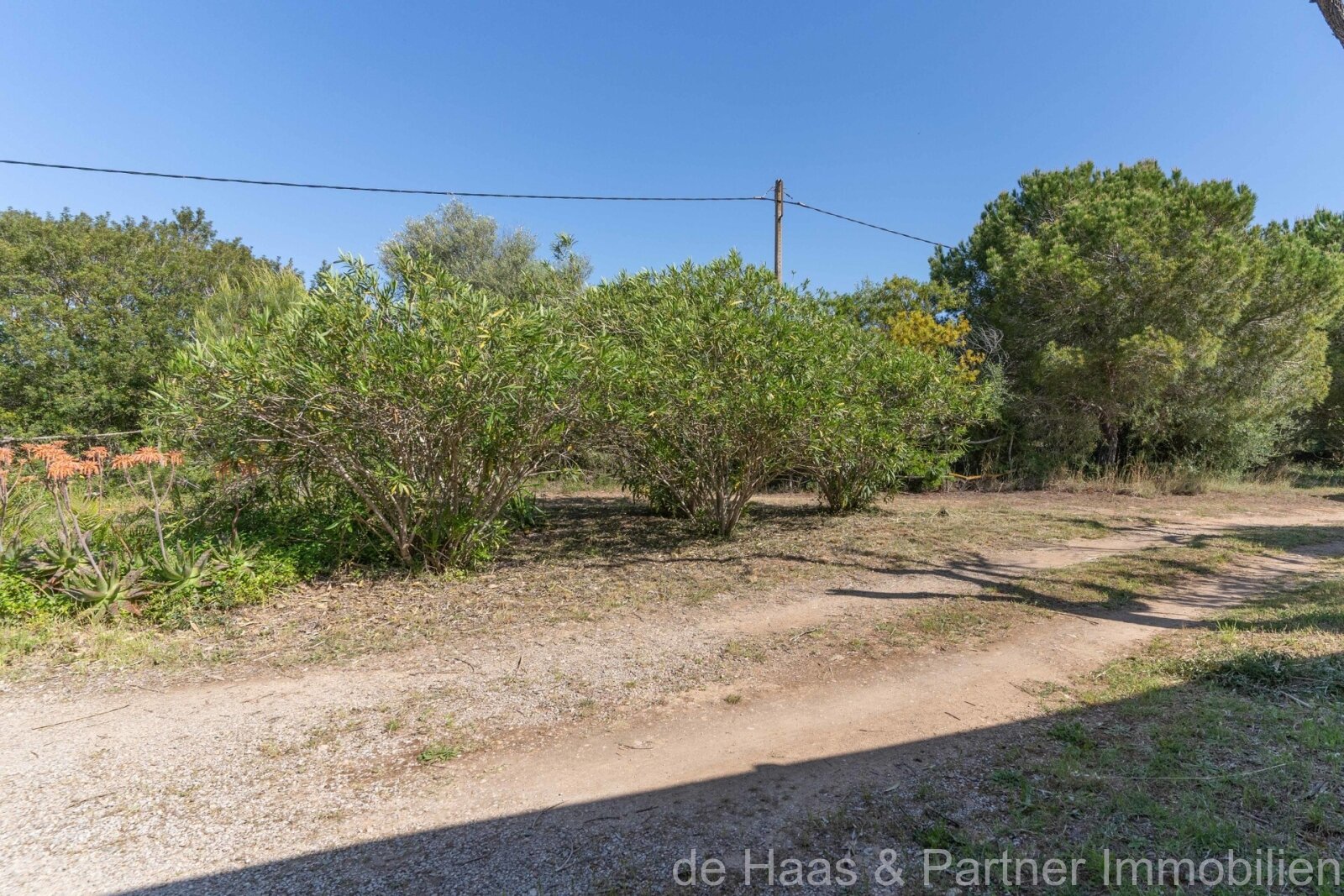 Preciosa finca con piscina cerca de Son Servera
