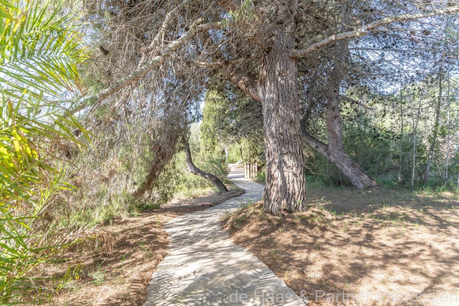 Preciosa finca con piscina cerca de Son Servera