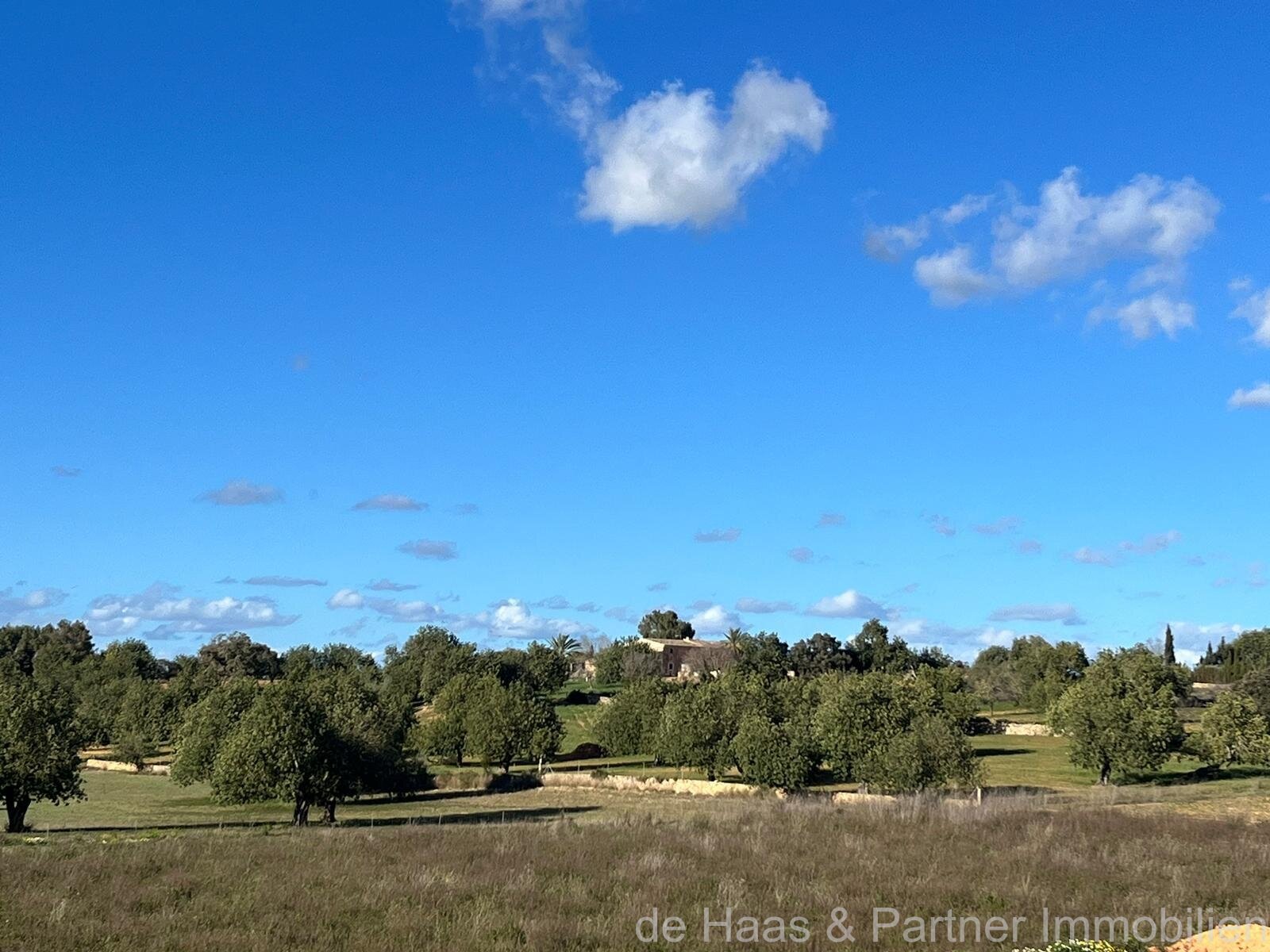 Villa de diseño de primera clase con piscina XL en un paisaje de ensueño 