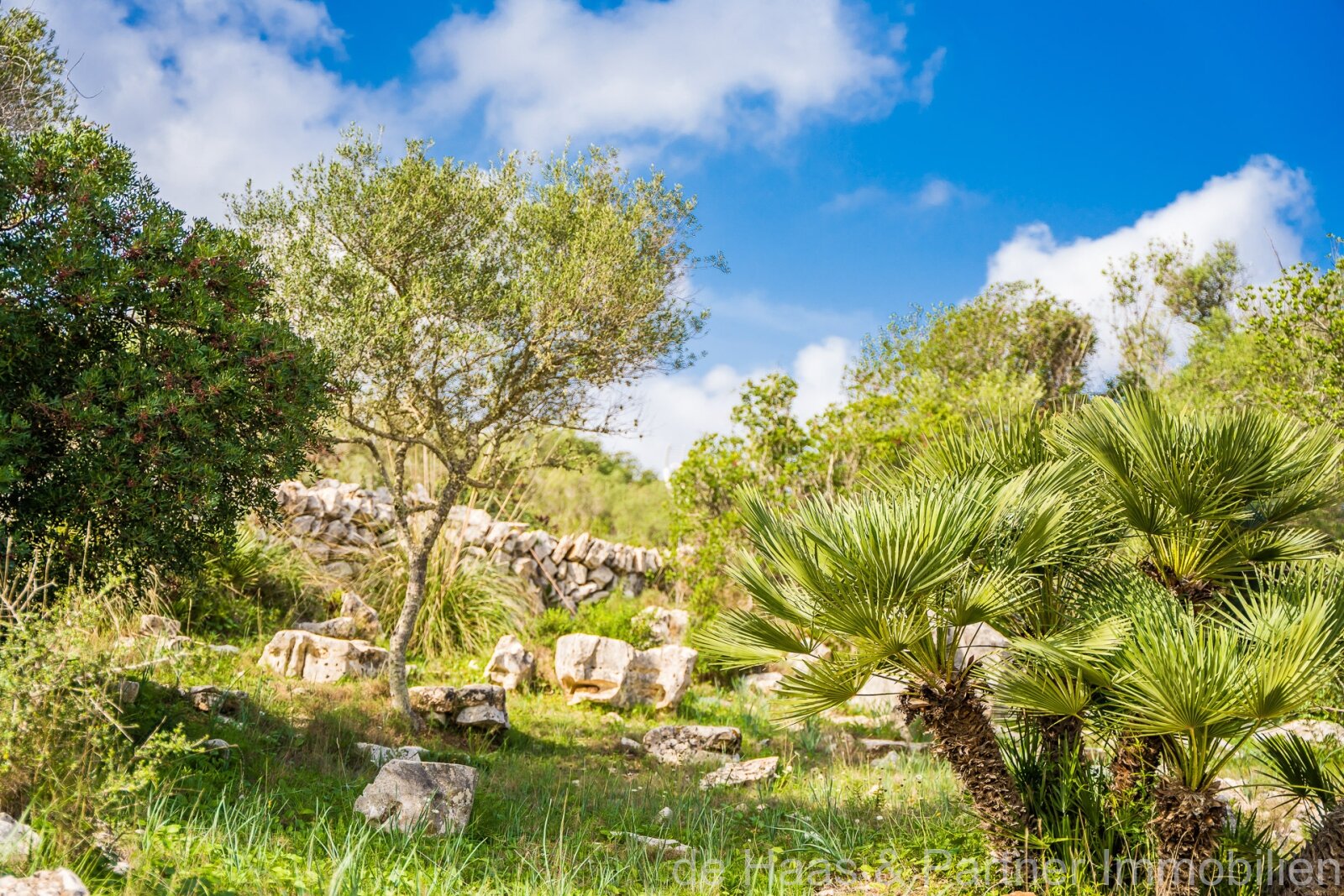 Finca muy grande en una ubicación privilegiada con fantásticas vistas al mar