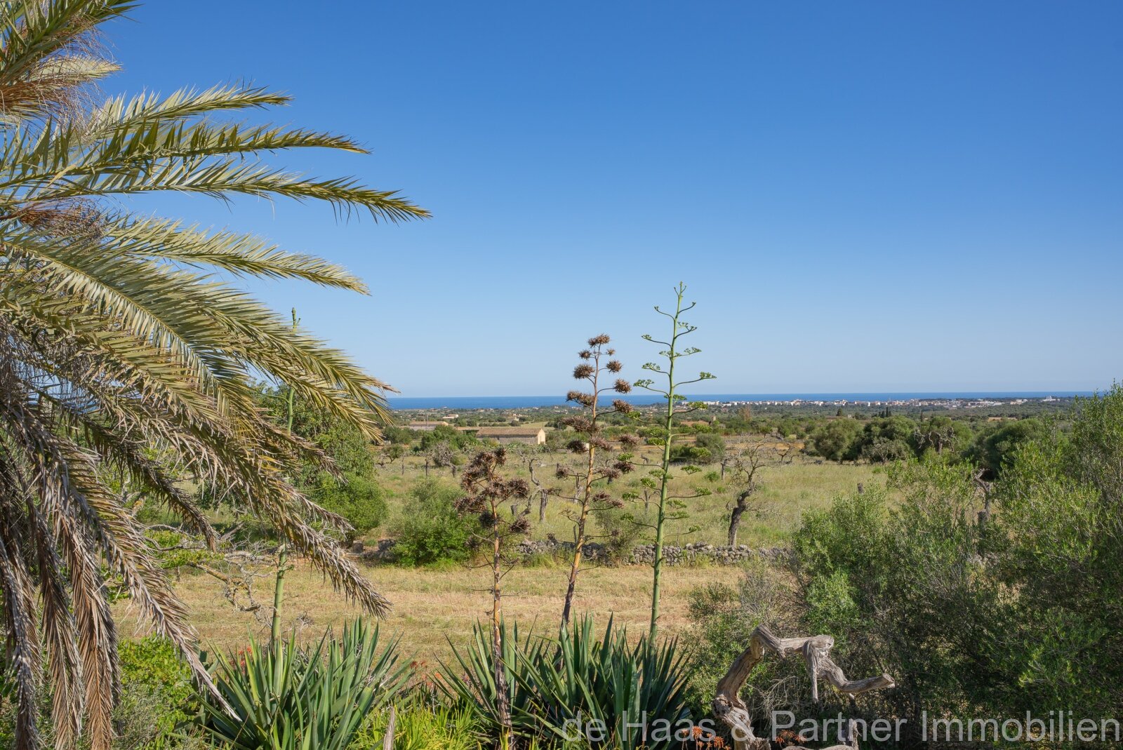 Gran finca familiar de estilo mallorquín con vistas panorámicas al mar, amplio jardín, limoneros y una pequeña casita 