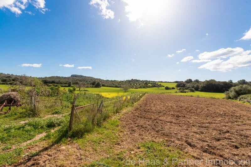 ¡Una oportunidad increíble! Finca con 350 000 m² de terreno con un gran potencial de diseño