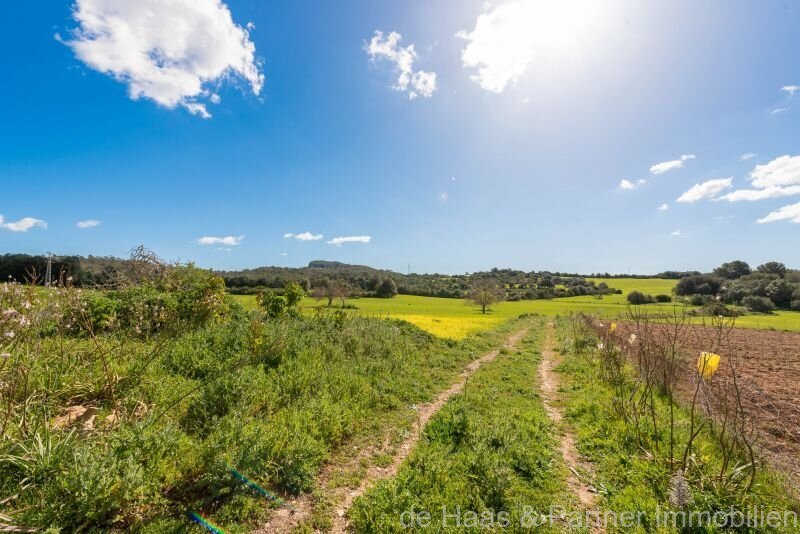 ¡Una oportunidad increíble! Finca con 350 000 m² de terreno con un gran potencial de diseño